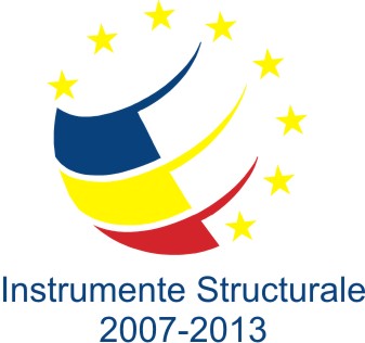 Instrumente Structurale